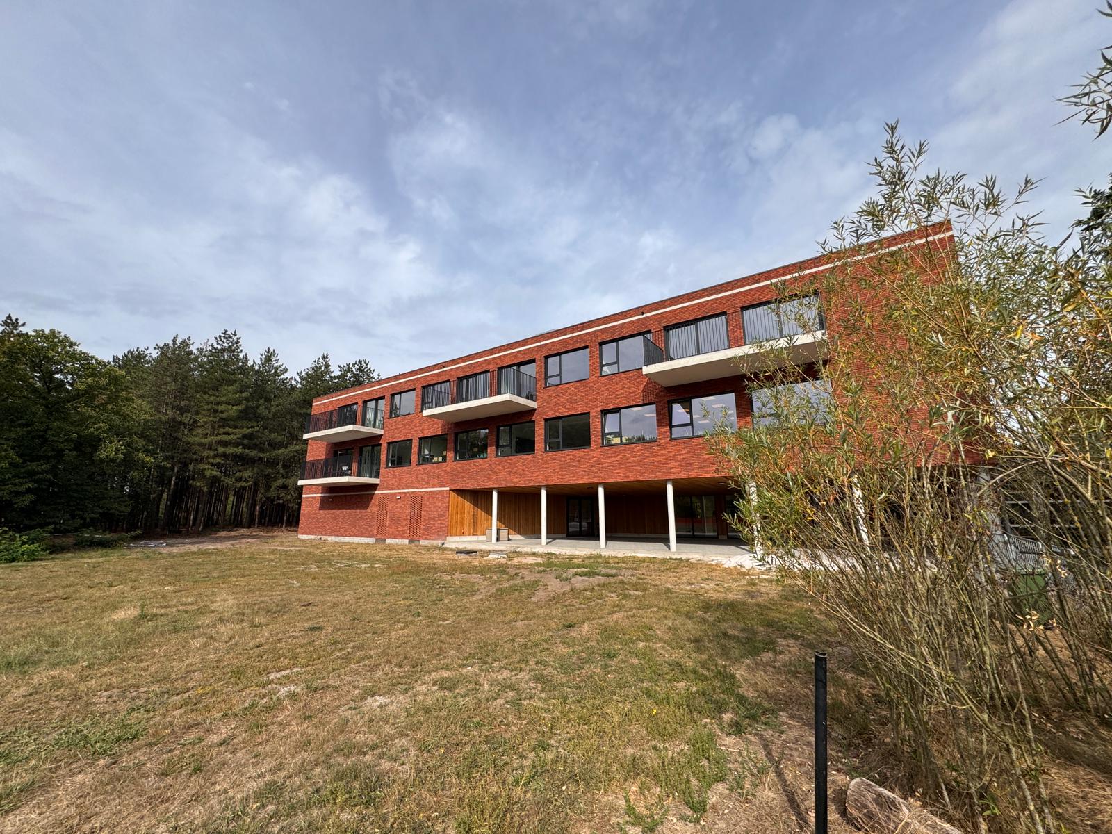Image 6