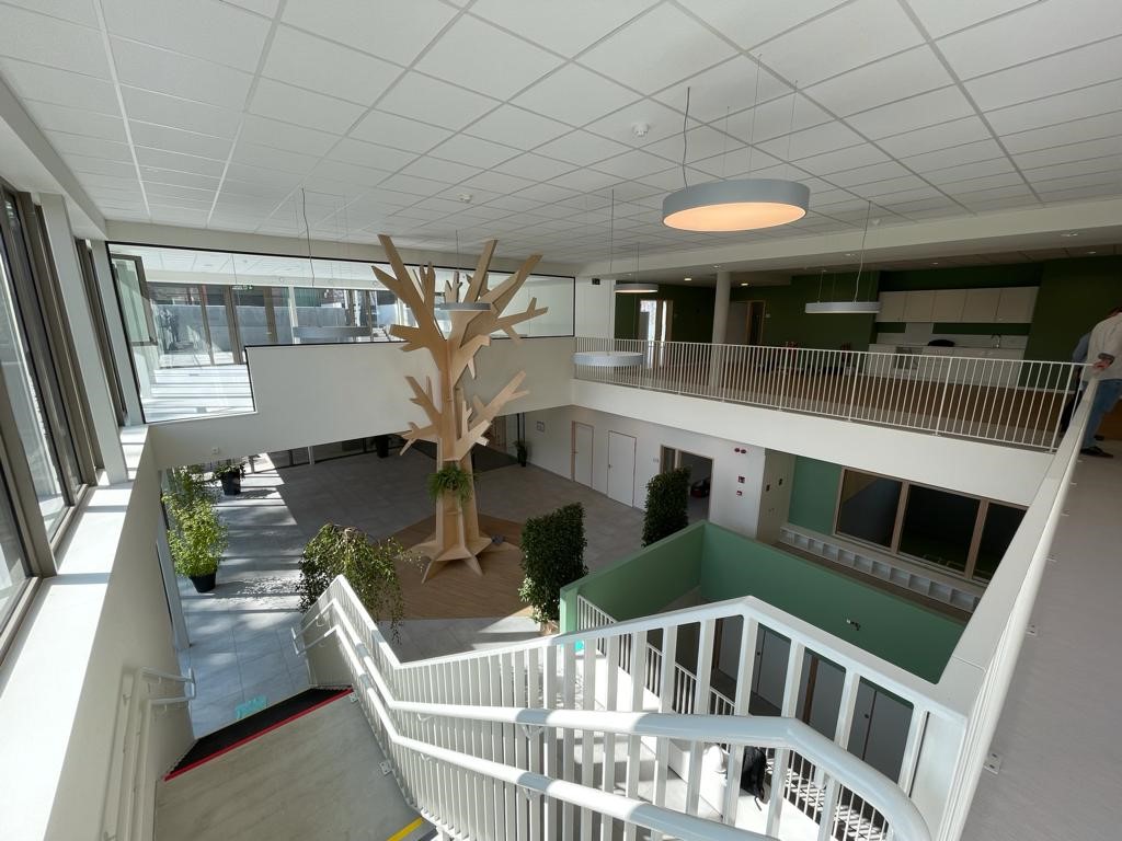 Image 3