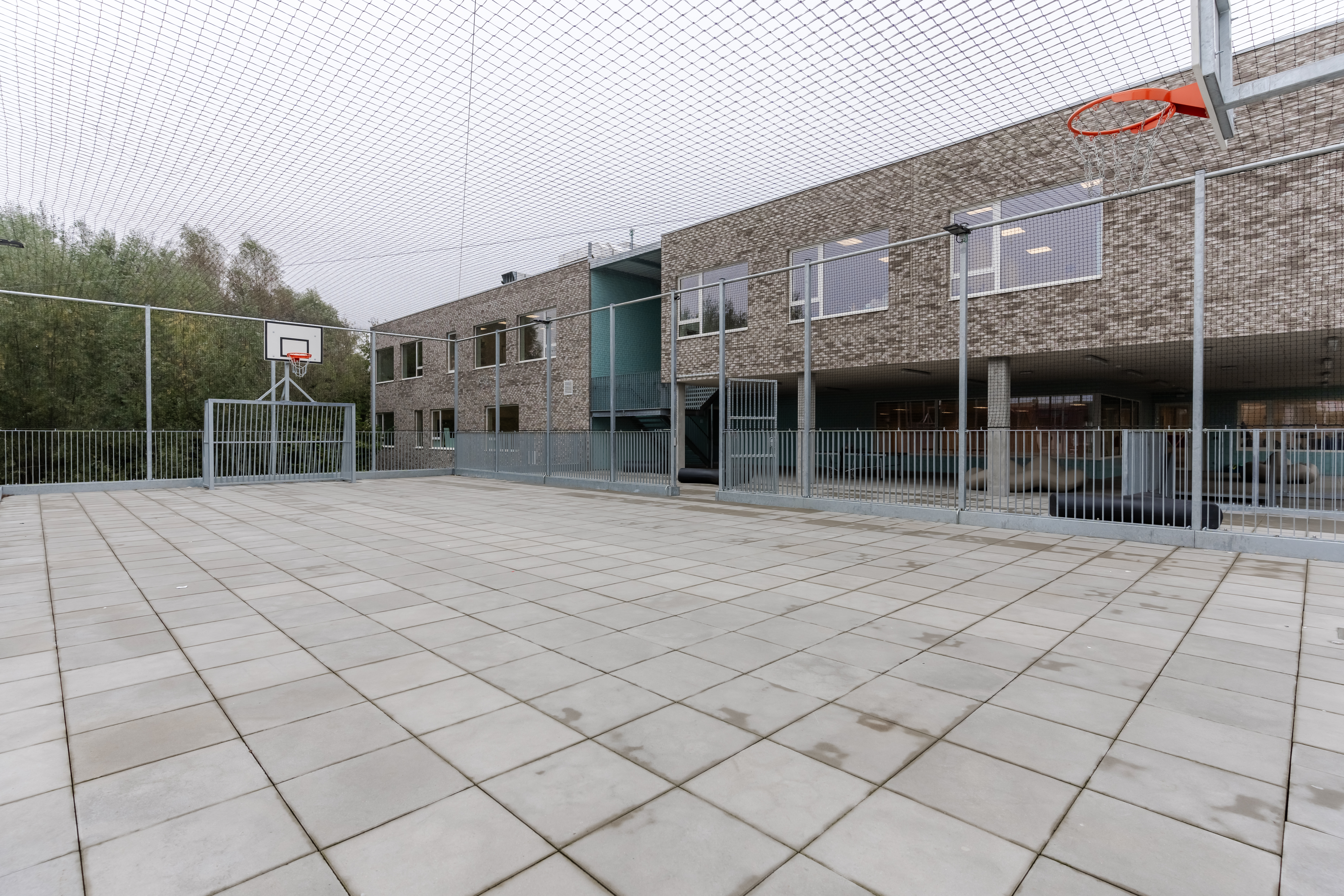 Image 6
